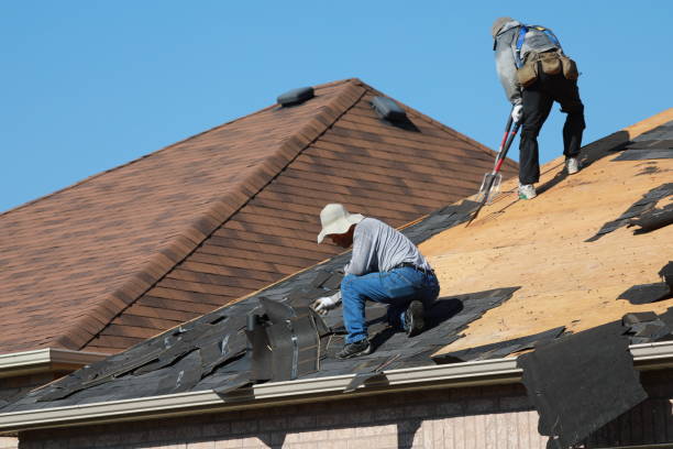 Best Storm Damage Roof Repair  in Bensley, VA