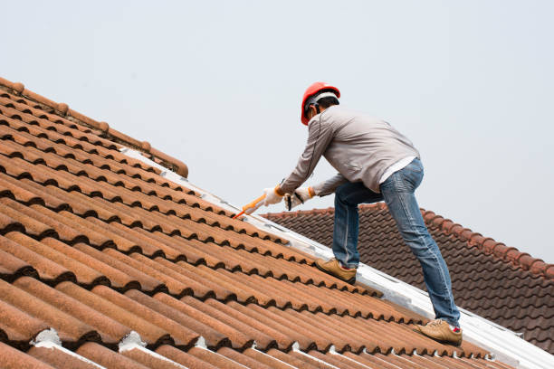 Best Roof Ventilation Installation  in Bensley, VA